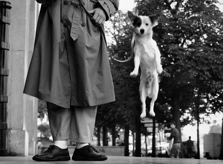 <i>Paris, France (Dog Jumping),</i> 1989, by Elliott Erwitt, offered by PDNB Gallery