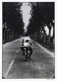 PROVENCE, FRANCE, 1955