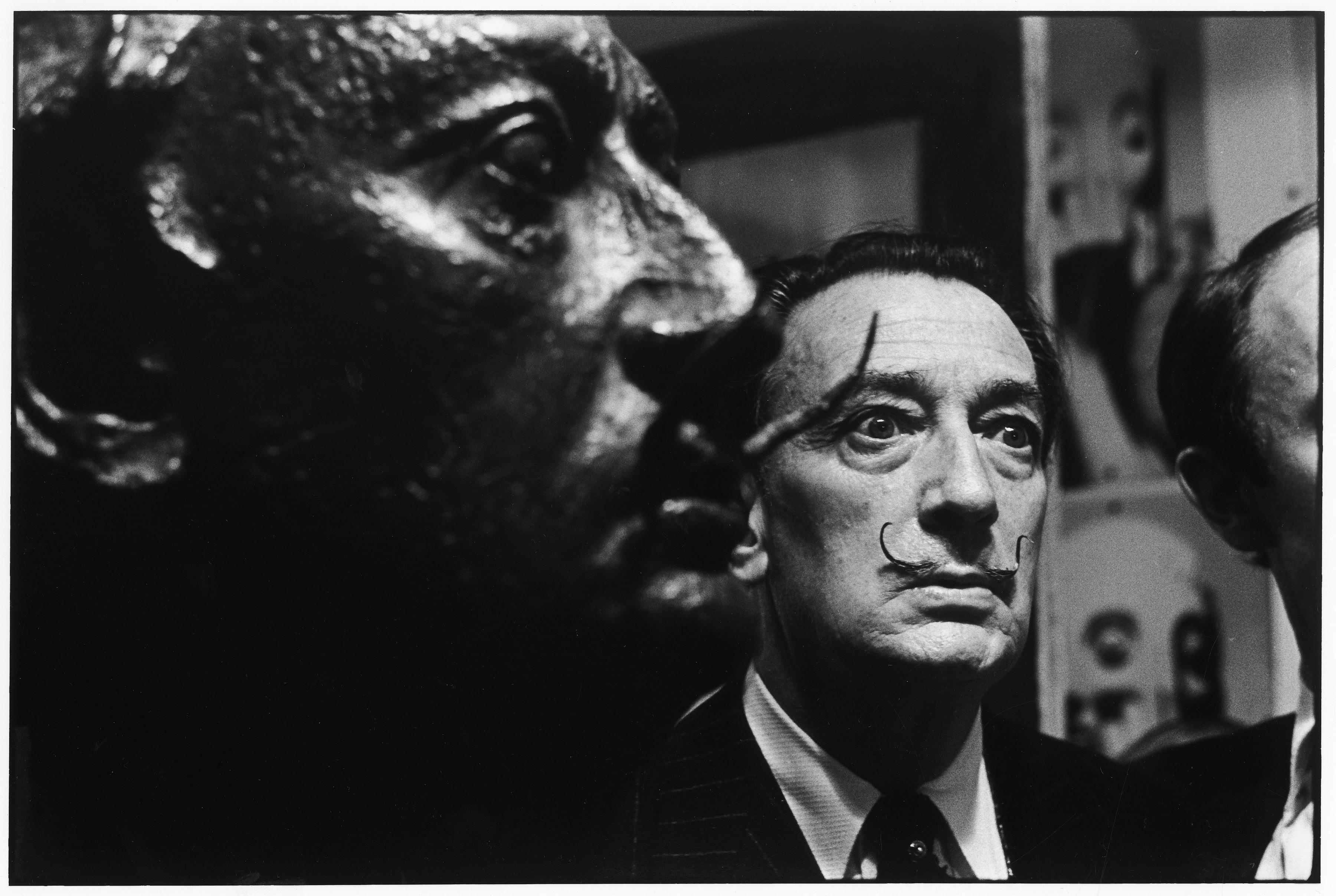 Salvador Dalí, 1963 - Elliott Erwitt (Black and White Photography)
