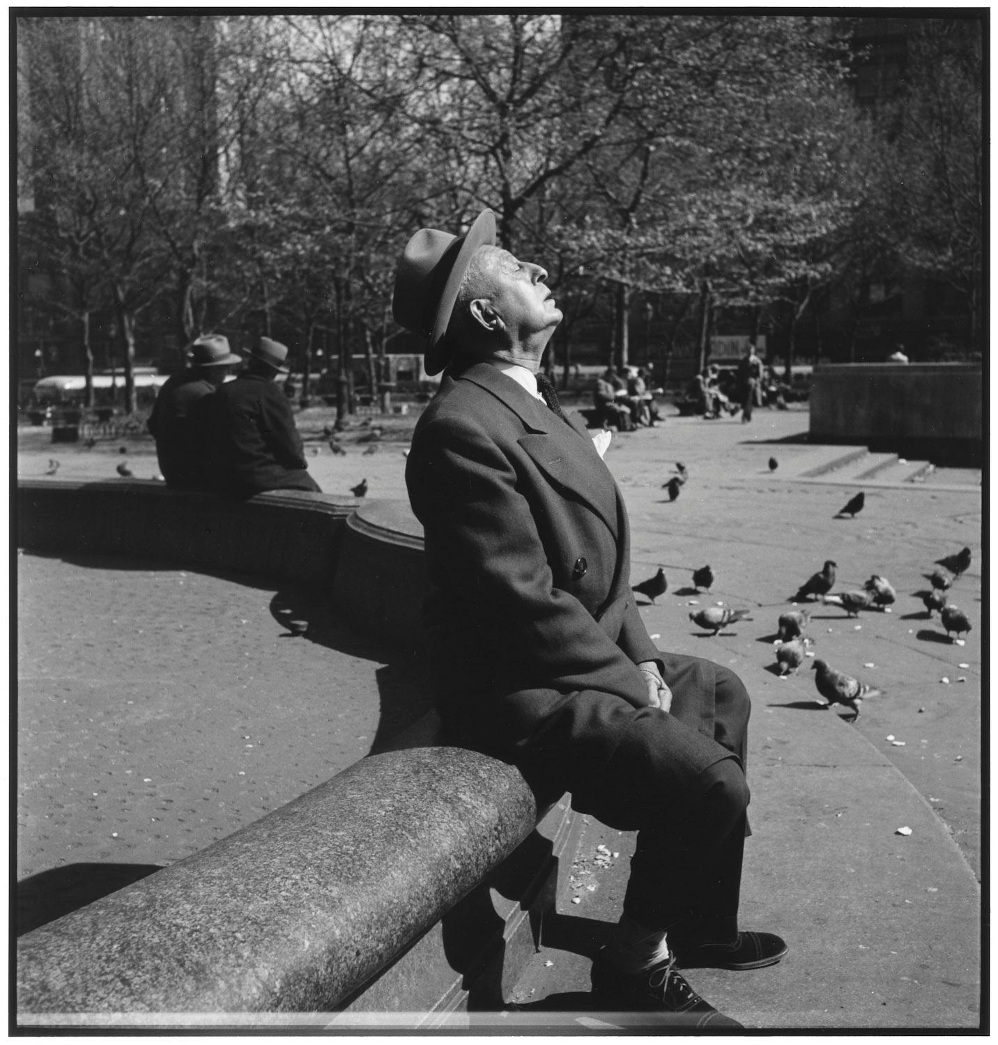 USA, New York City, 1948 - Elliott Erwitt (Schwarz-Weiß-Fotografie)
Signiert, mit Titel bezeichnet und datiert auf dem beiliegenden Label des Künstlers
Silbergelatineabzug, später gedruckt

Erhältlich in vier Größen:
11 x 14 Zoll
16 x 20 Zoll
20 x