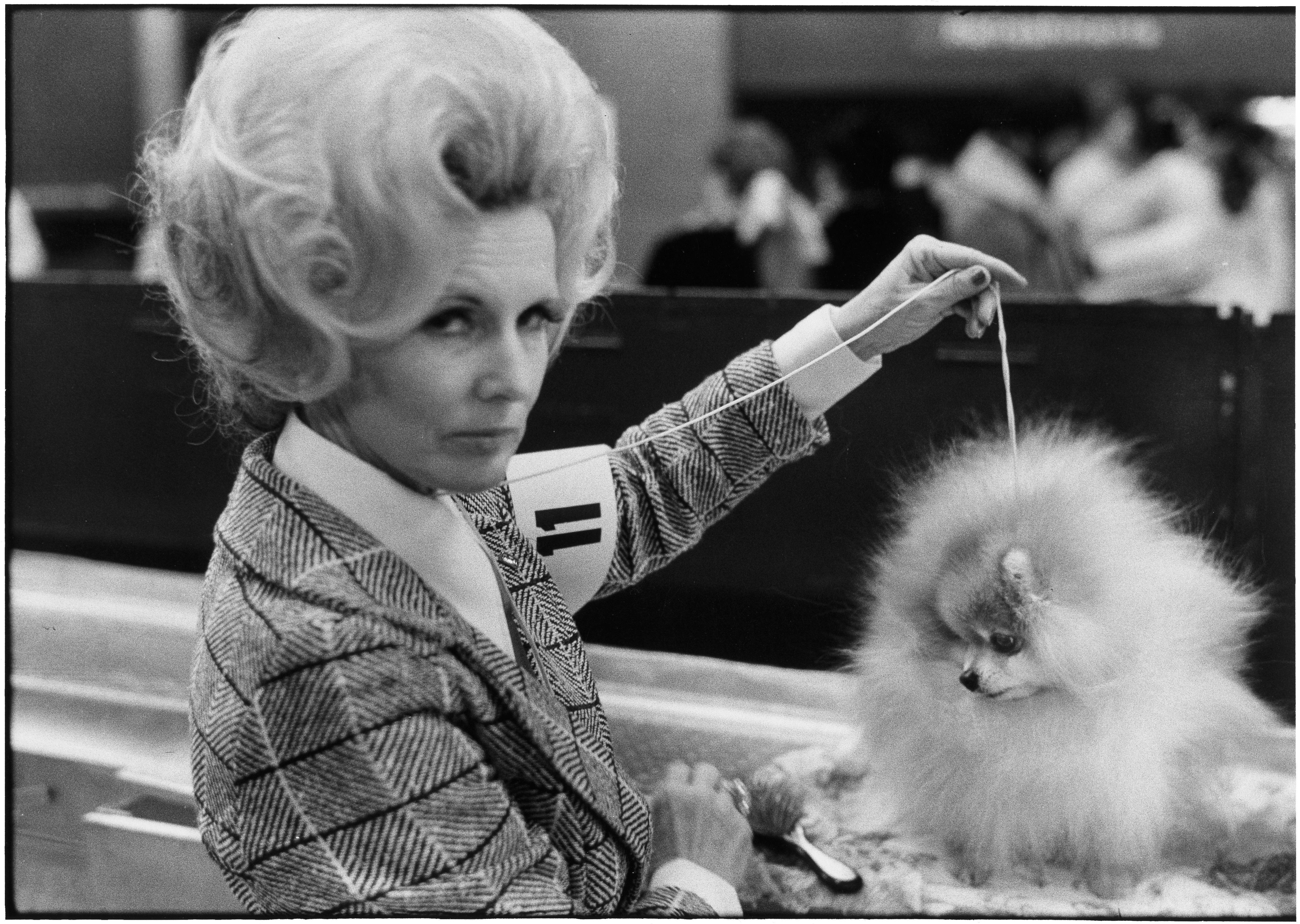 Elliott Erwitt Black and White Photograph - USA. New York City.