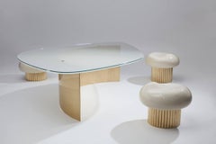 Ellipse Arc Coffee Table by Jennifer Midoz