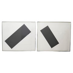 Vintage Ellsworth Kelly (American, 1923-2015) GRAND CASE and MARIGOT, 1980