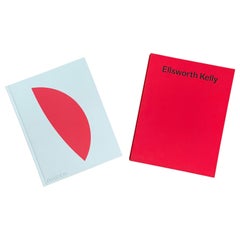 "Ellsworth Kelly" Art Book by Tricia Y. Paik 1st Edition