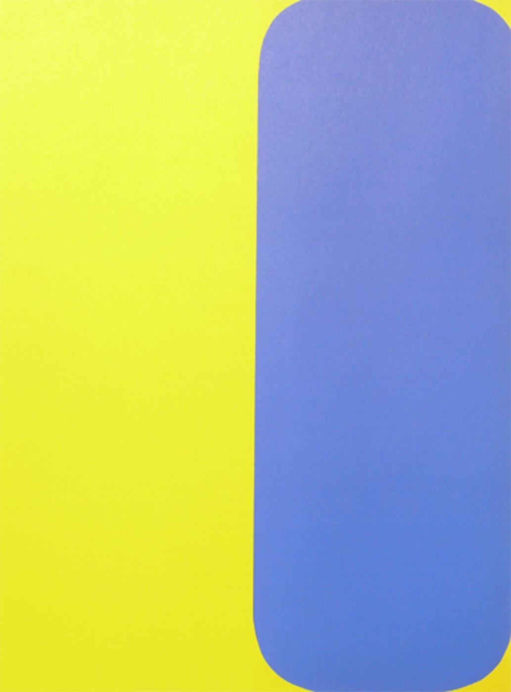 Mid-Century Modern Ellsworth Kelly Colorful Abstract Lithographs  For Sale
