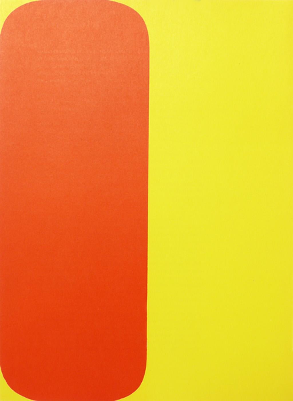 French Ellsworth Kelly Colorful Abstract Lithographs  For Sale