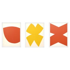 Ellsworth Kelly Colorful Abstract Lithographs