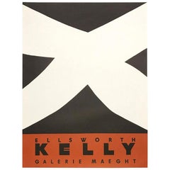 Ellsworth Kelly Noir et Rouge Original Vintage-Poster, Original