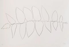 Ailanthus Blätter I (Vernis de japon I) – Ellsworth Kelly:: Minimalismus:: Flora
