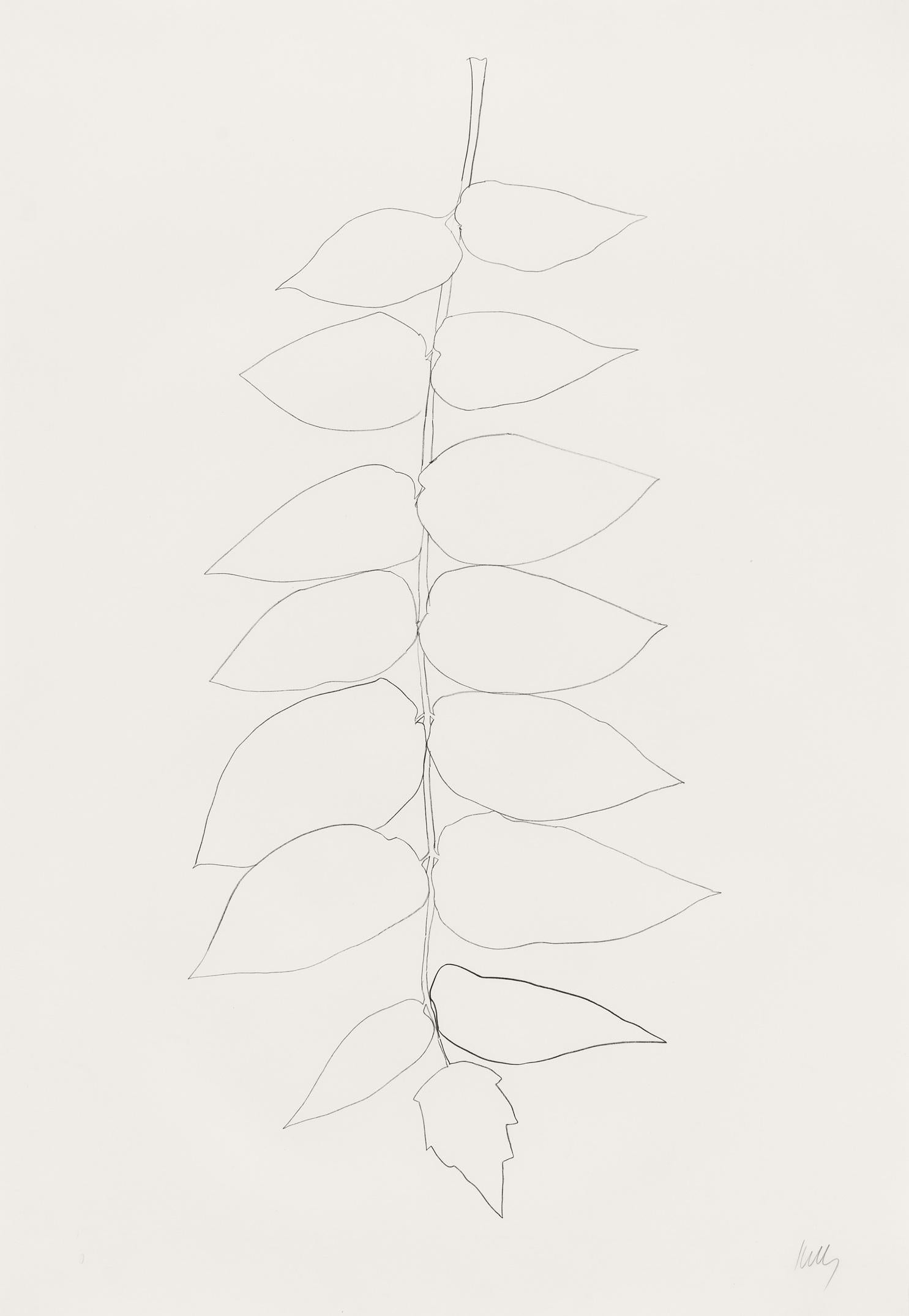 Ellsworth Kelly Print - Ailanthus Leaves II (Vernis du Japon II)