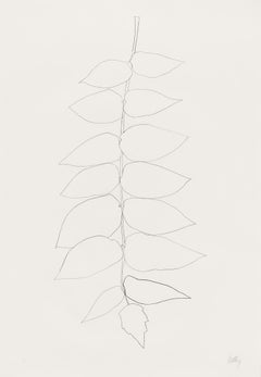 Ailanthus Leaves II (Vernis du Japon II)