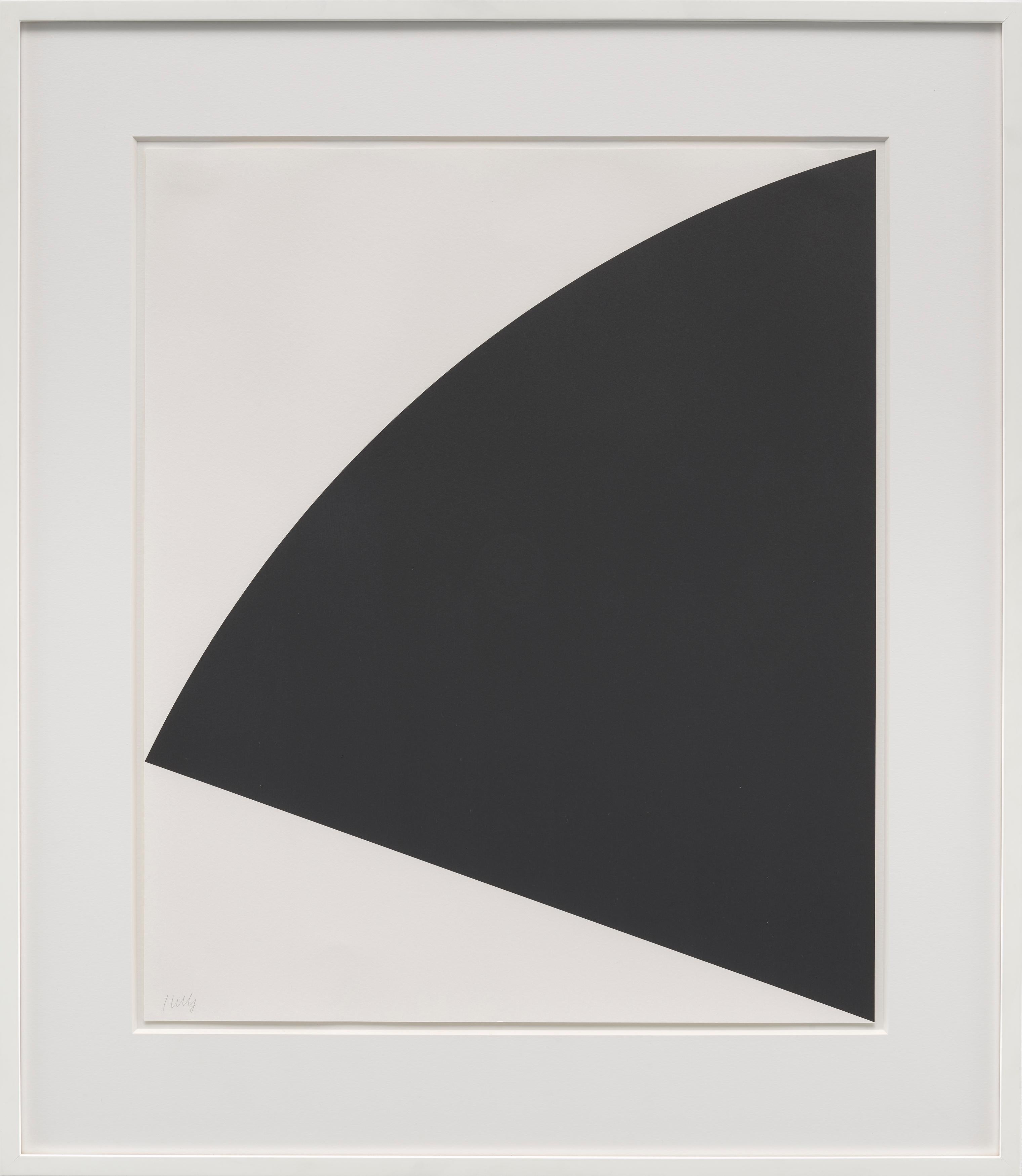 ellsworth kelly print