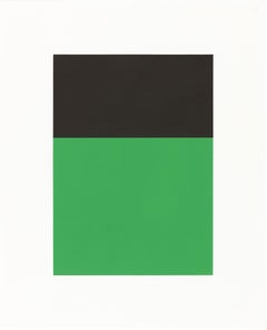 Schwarz/Grün
