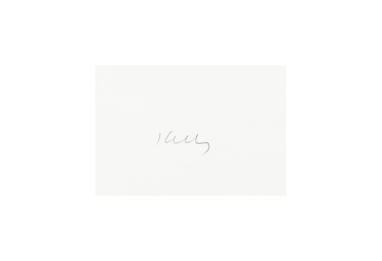 Nero/Whiting/Nero (A. 63) - Print di Ellsworth Kelly