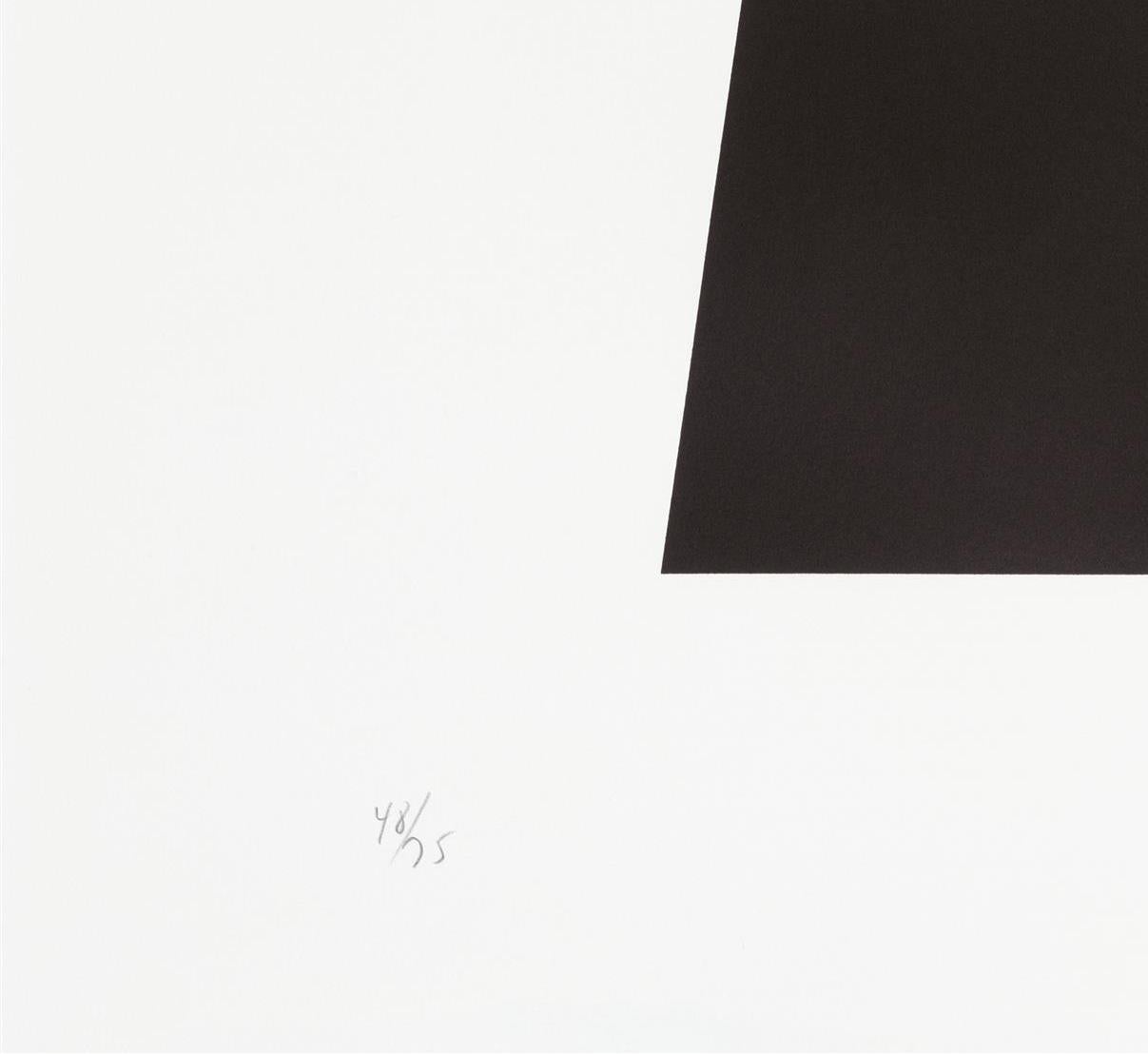 Nero/Whiting/Nero (A. 63) - Print Contemporaneo di Ellsworth Kelly
