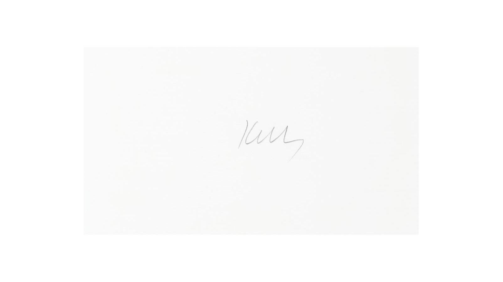 Azul/Verde (A. 65) - Print de Ellsworth Kelly