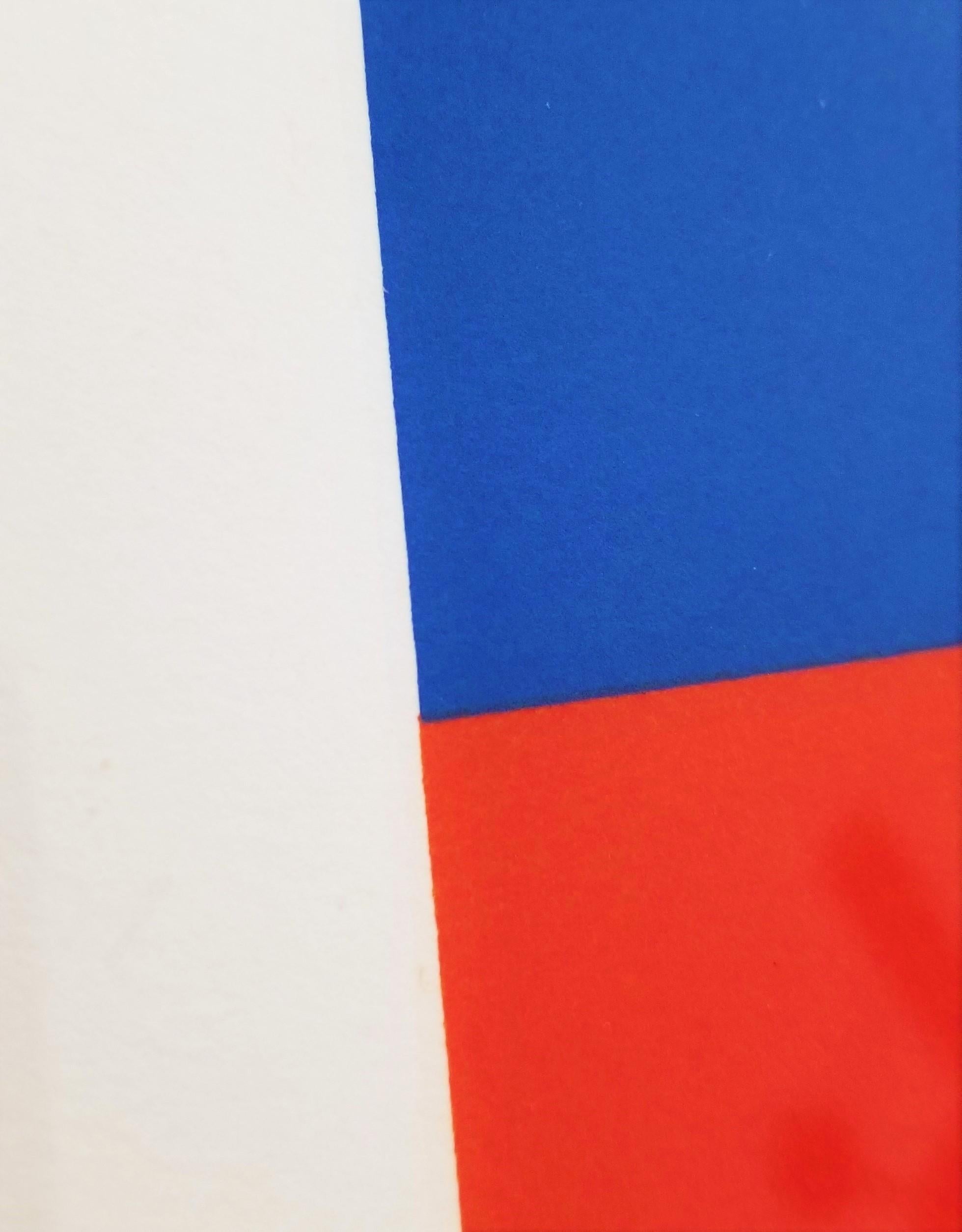 Blue/Red-Orange /// Contemporary Abstract Geometric Minimalism Ellsworth Kelly  For Sale 5