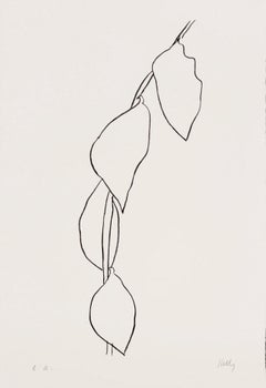 Branche de citron (Lemon Branch) -  Ellsworth Kelly, Minimalism, Still-life