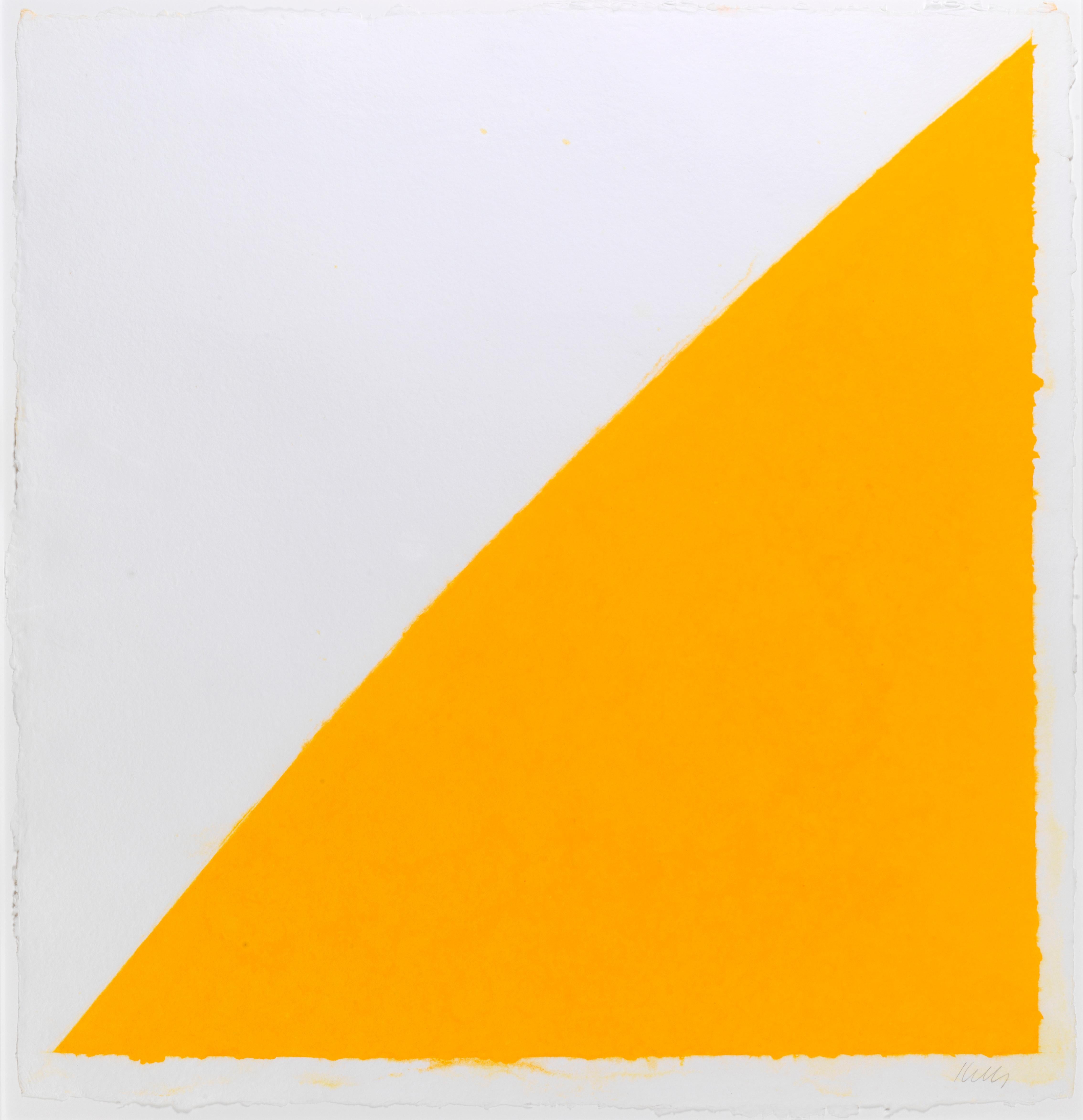 Ellsworth Kelly Abstract Print - Colored Paper Image XIV (Yellow Curve)