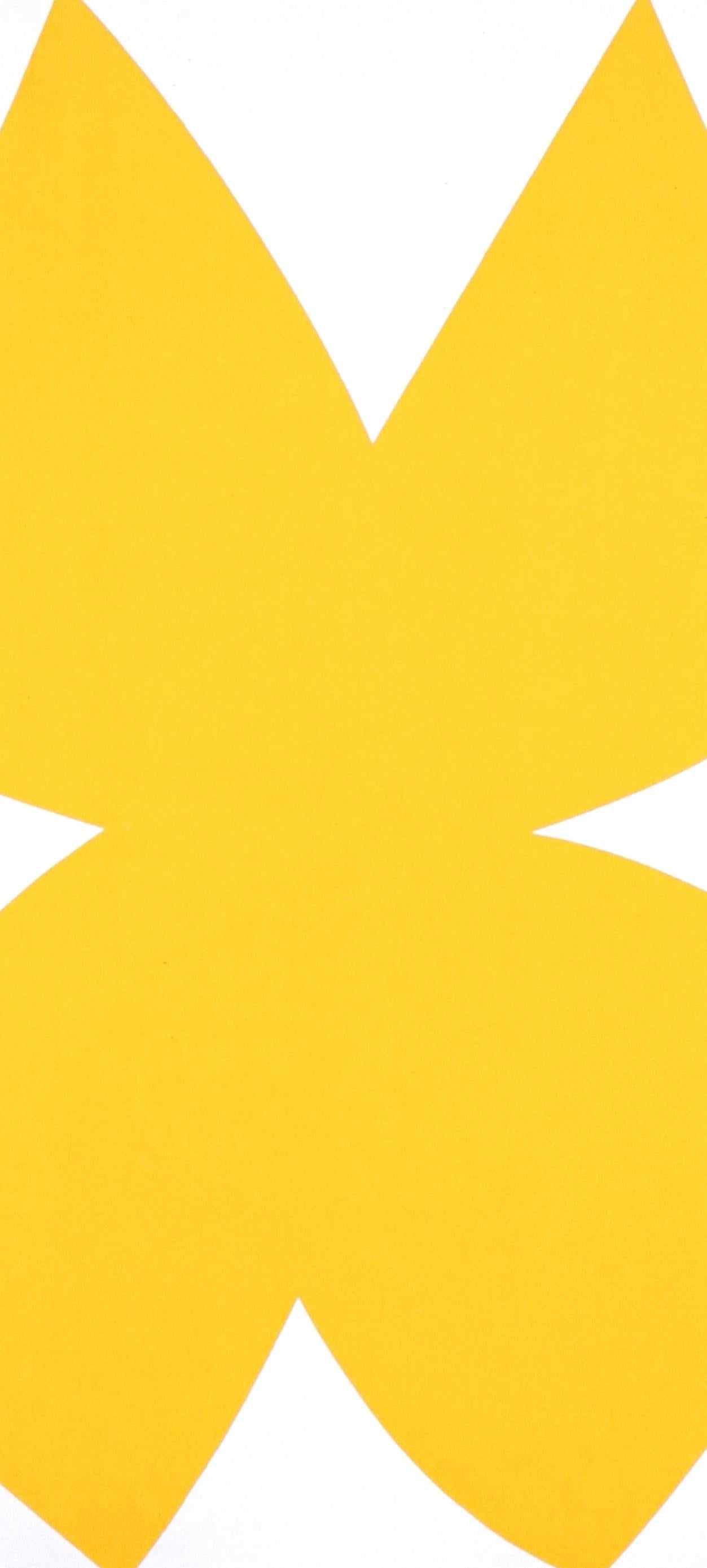Composition (Axsom Ia), Derrière le miroir - Print by Ellsworth Kelly