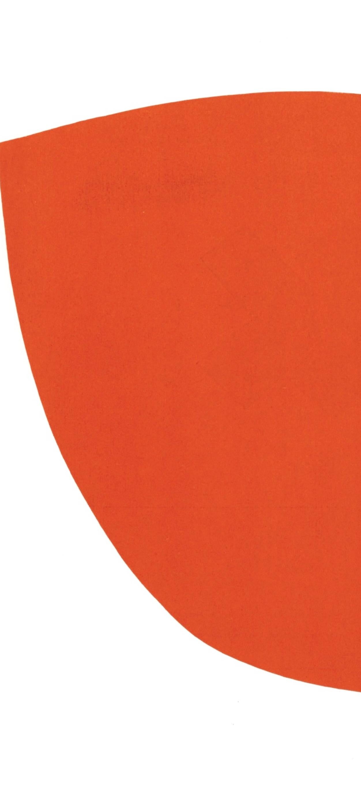 Composition (Axsom Ia), Derrière le miroir - Print by Ellsworth Kelly