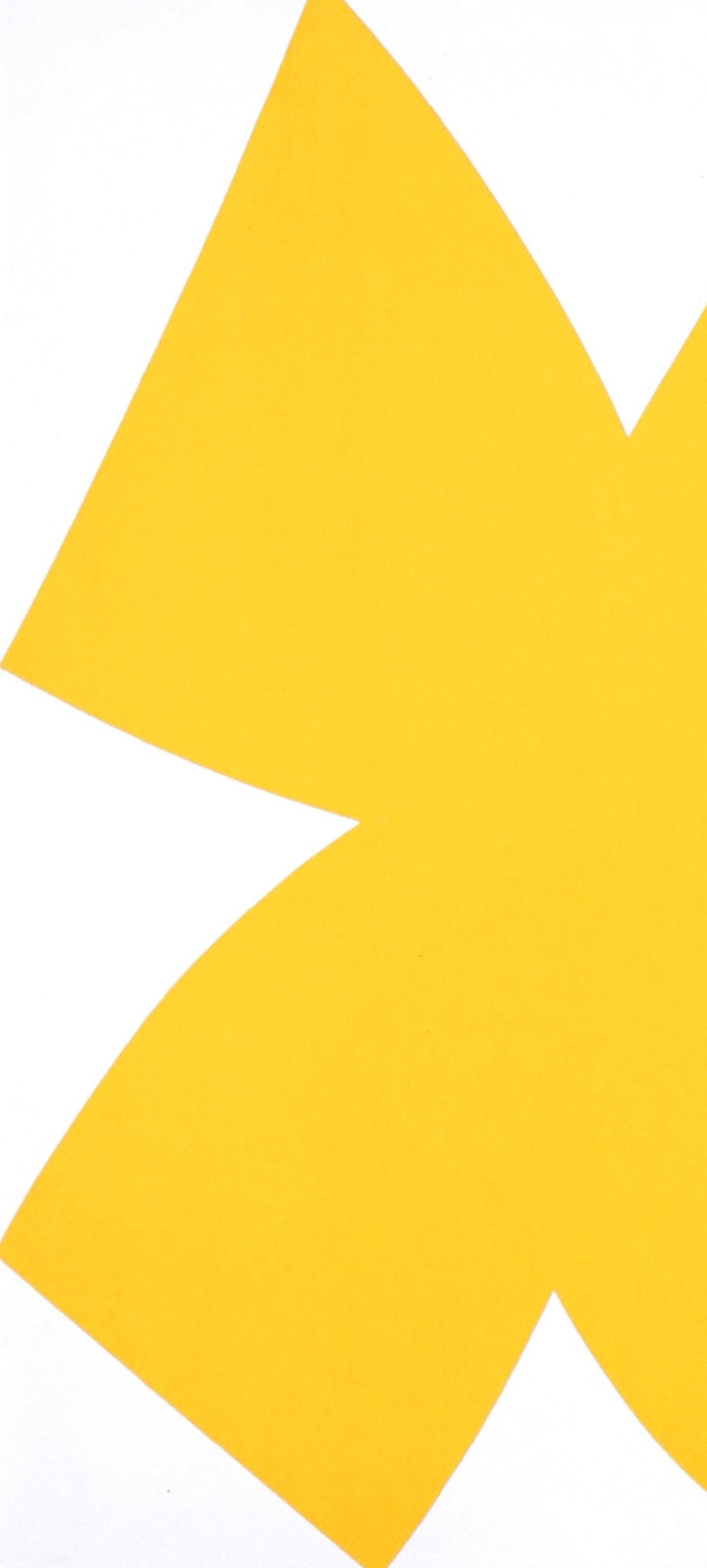 Composition (Axsom Ia), Derrière le miroir - Hard-Edge Print by Ellsworth Kelly