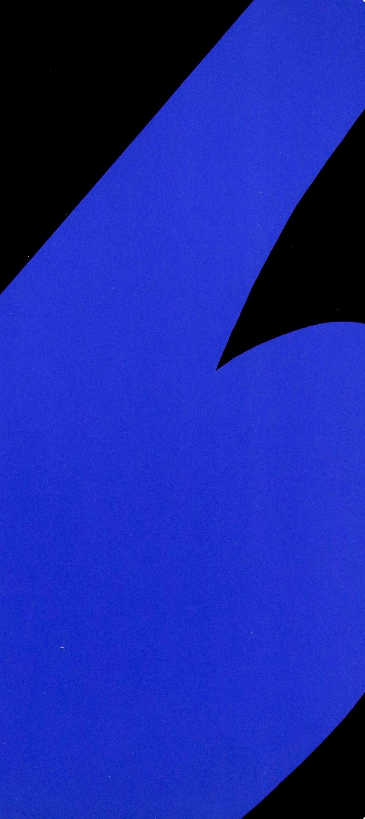 Composition (Axsom Ia), Derrière le miroir - Hard-Edge Print by Ellsworth Kelly