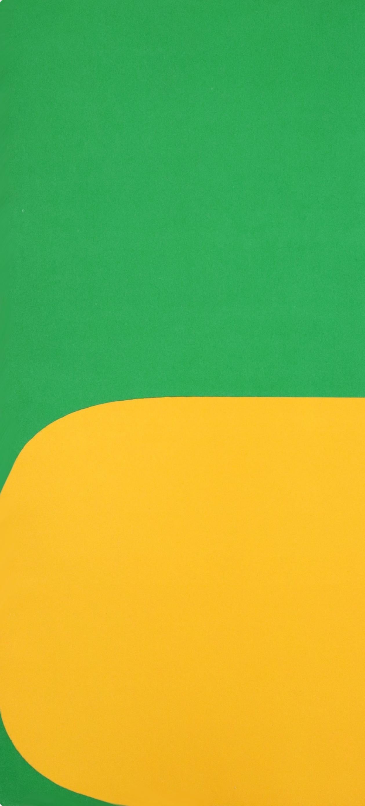 Composition (Axsom Ib), Derrière le miroir - Print by Ellsworth Kelly