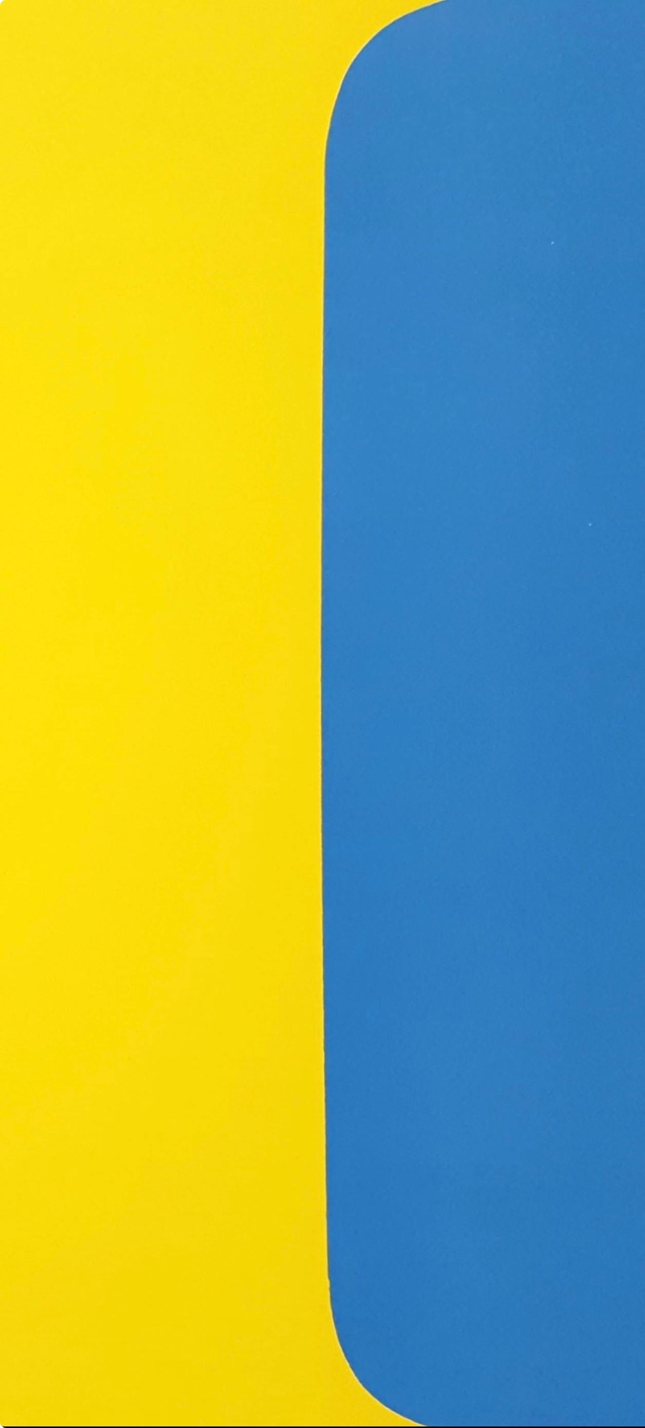 Composition (Axsom Ib), Derrière le miroir - Print by Ellsworth Kelly