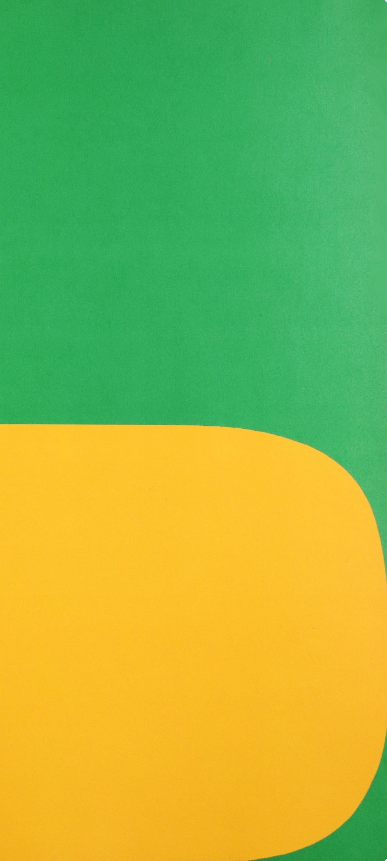 Composition (Axsom Ib), Derrière le miroir - Green Landscape Print by Ellsworth Kelly