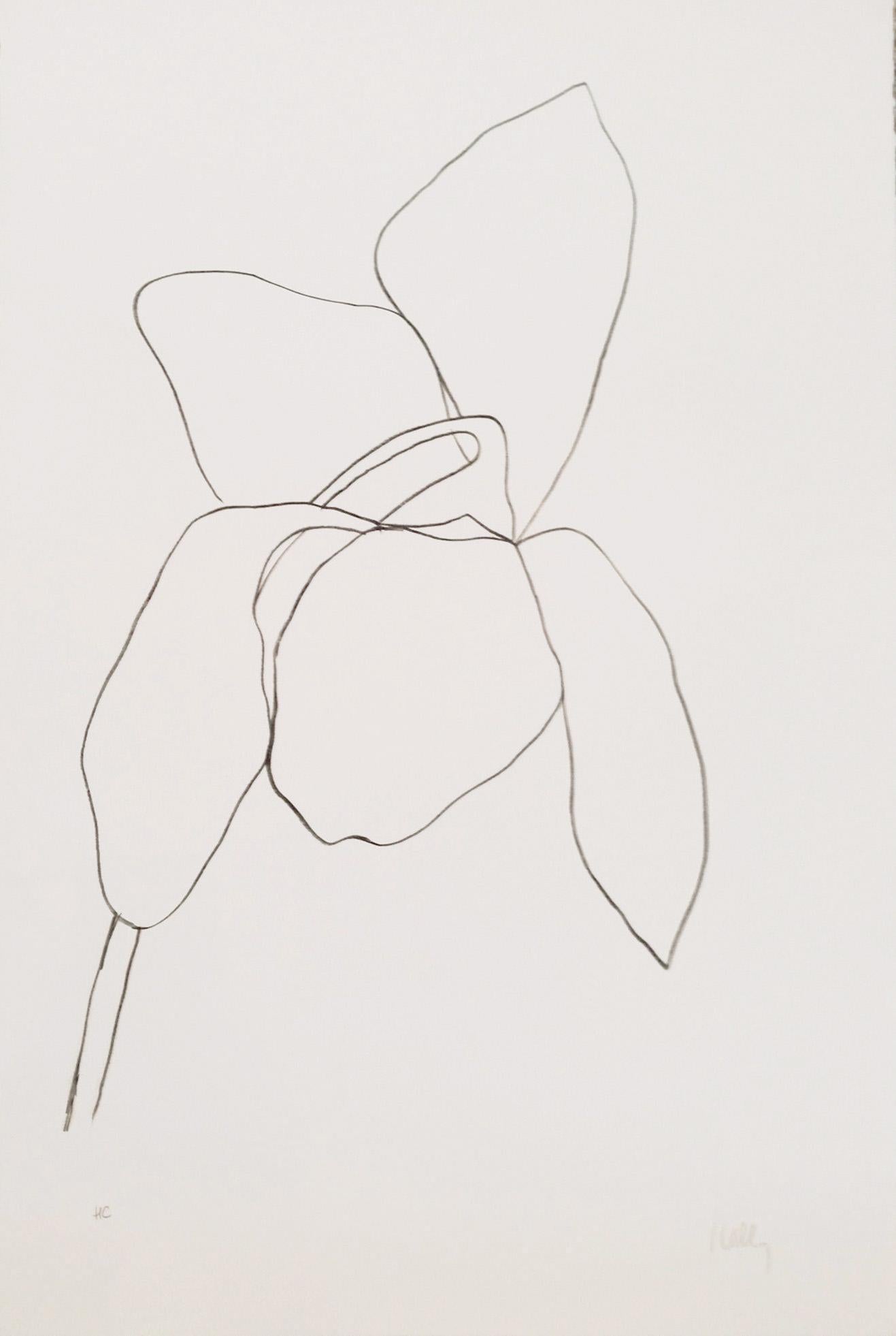 From 'Suite of Plant Lithographs'. 
Signed in pencil, inscribed 'HC' (an hors commerce impression outside of the edition of 75). 
Printed on Arches paper by Imprimerie Arte, Paris. 
Published by Maeght, Paris. 
(Axsom 36). 