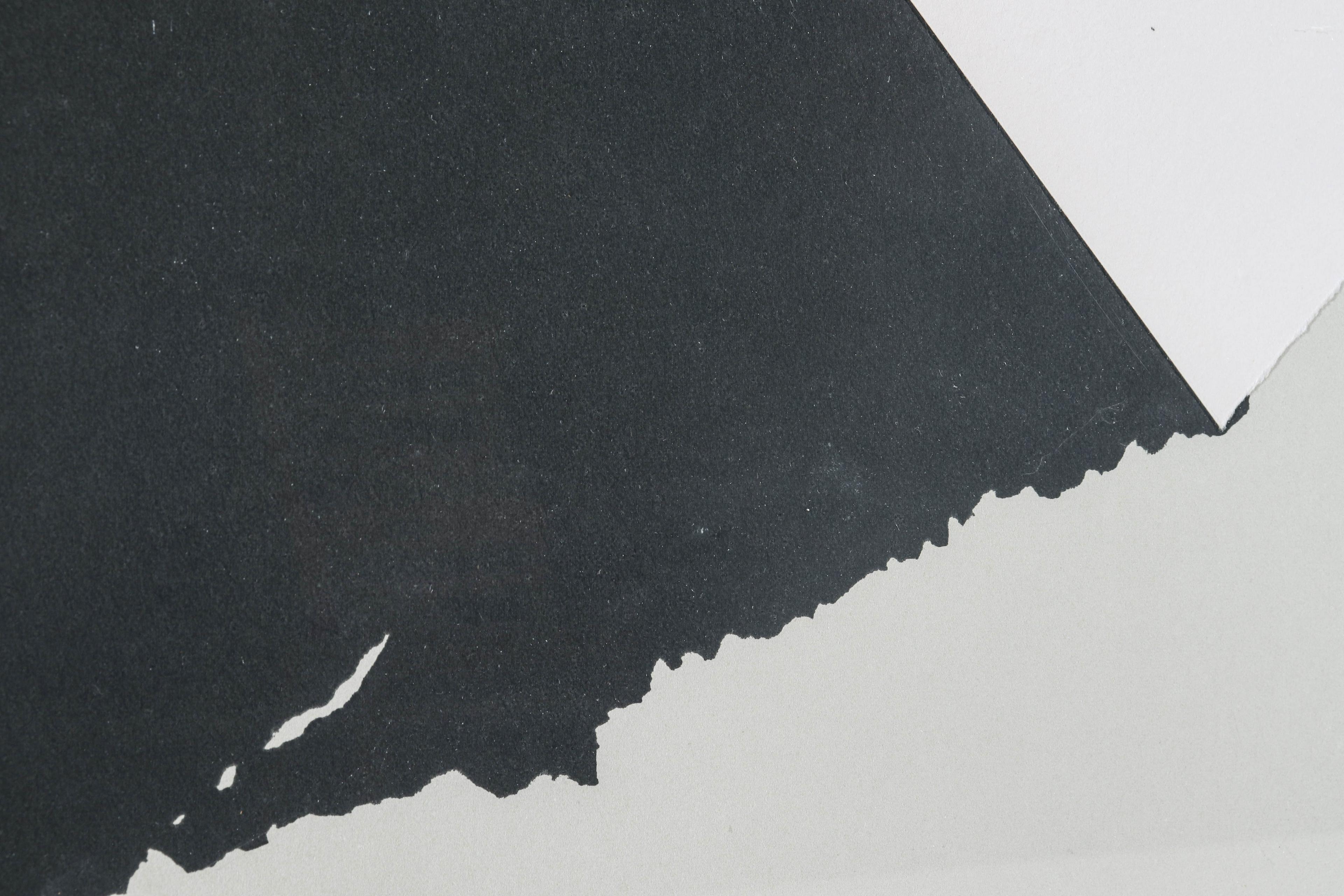 Dunkelgrau und Weiß (Grau), Abstract Print, von Ellsworth Kelly