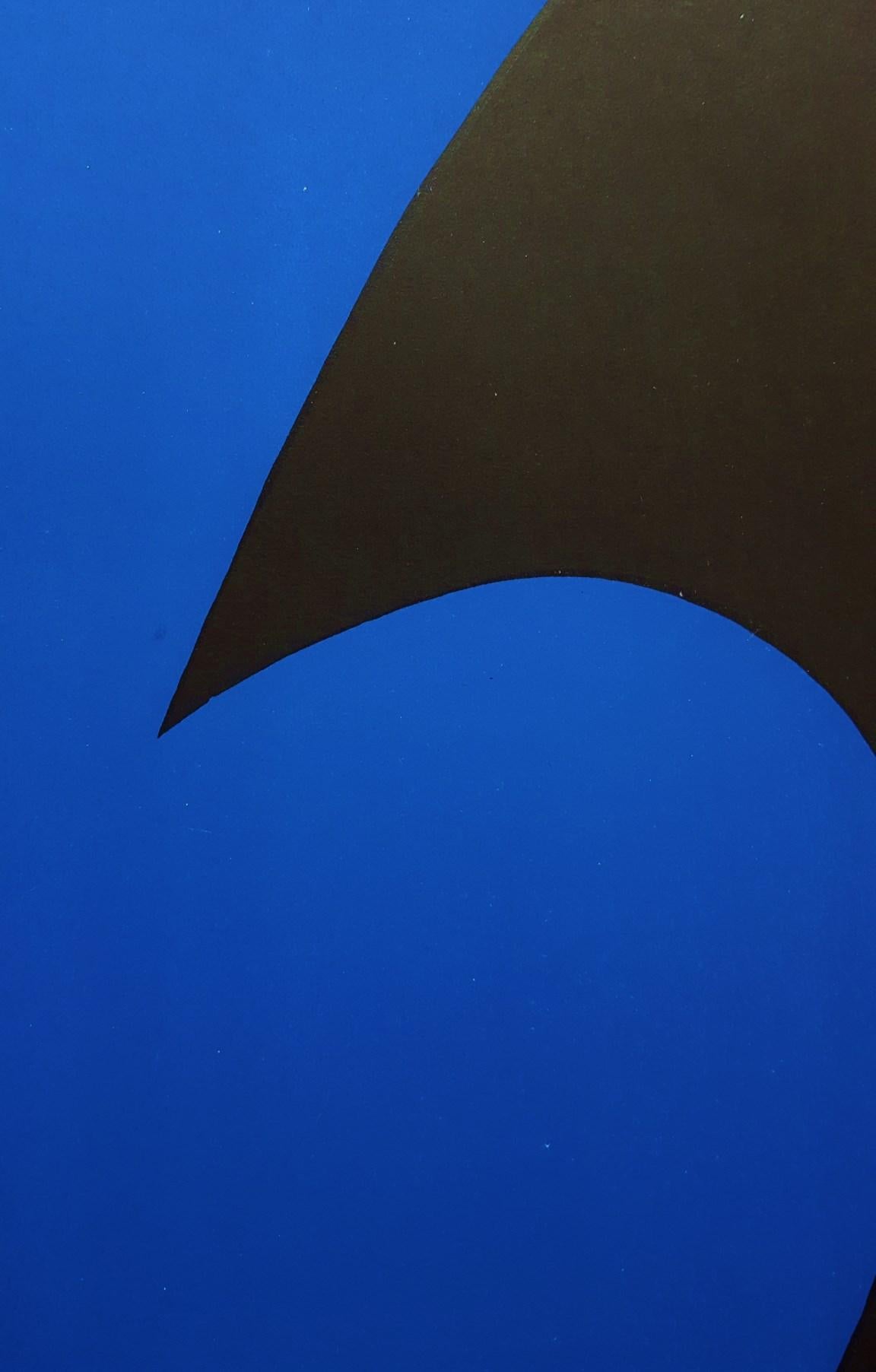 Derrière Le Miroir No. 110 (page 7) - Blue Abstract Print by Ellsworth Kelly