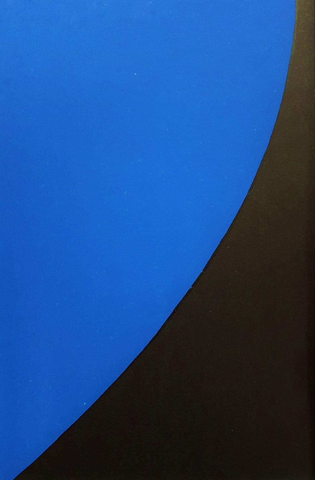 An original lithograph on smooth wove paper by American artist Ellsworth Kelly (1923-2015) 