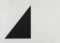 Ellsworth Kelly 'Black and White Pyramid' 1973 Print