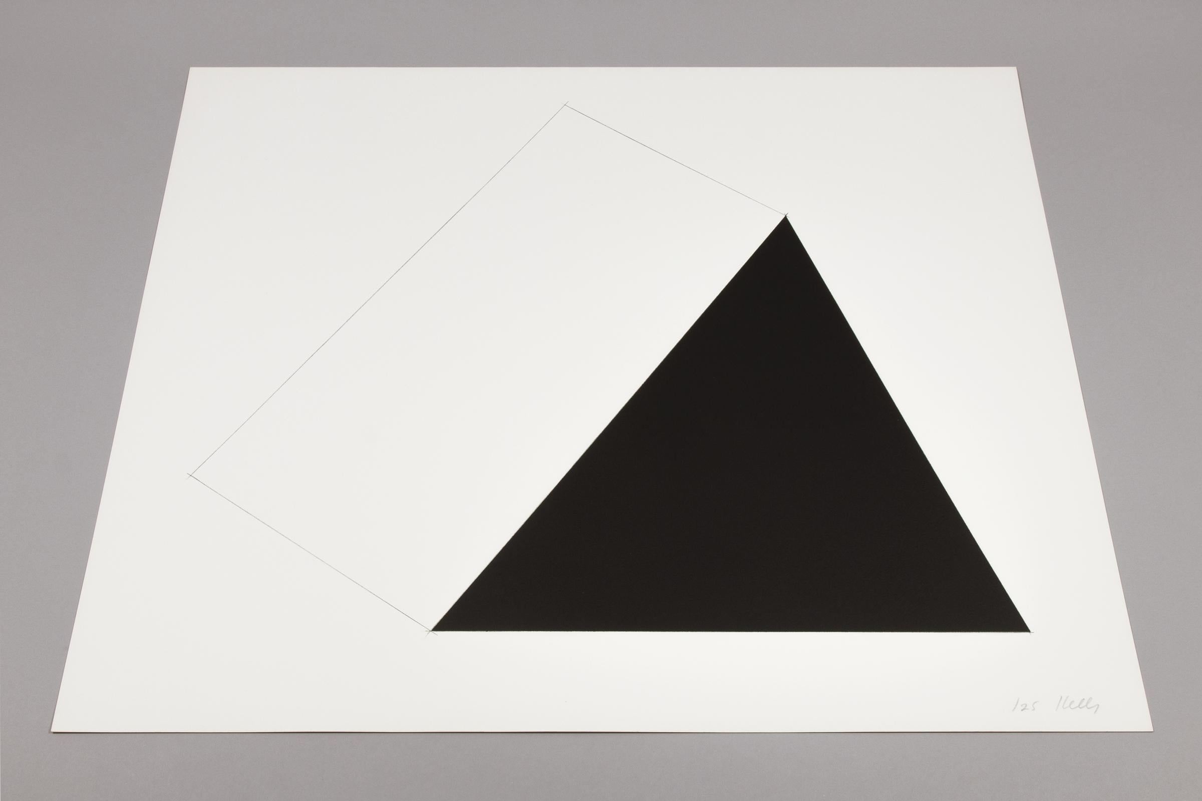 Ellsworth Kelly, Braunwald - Signed Lithograph, Minimalist Print For Sale 2