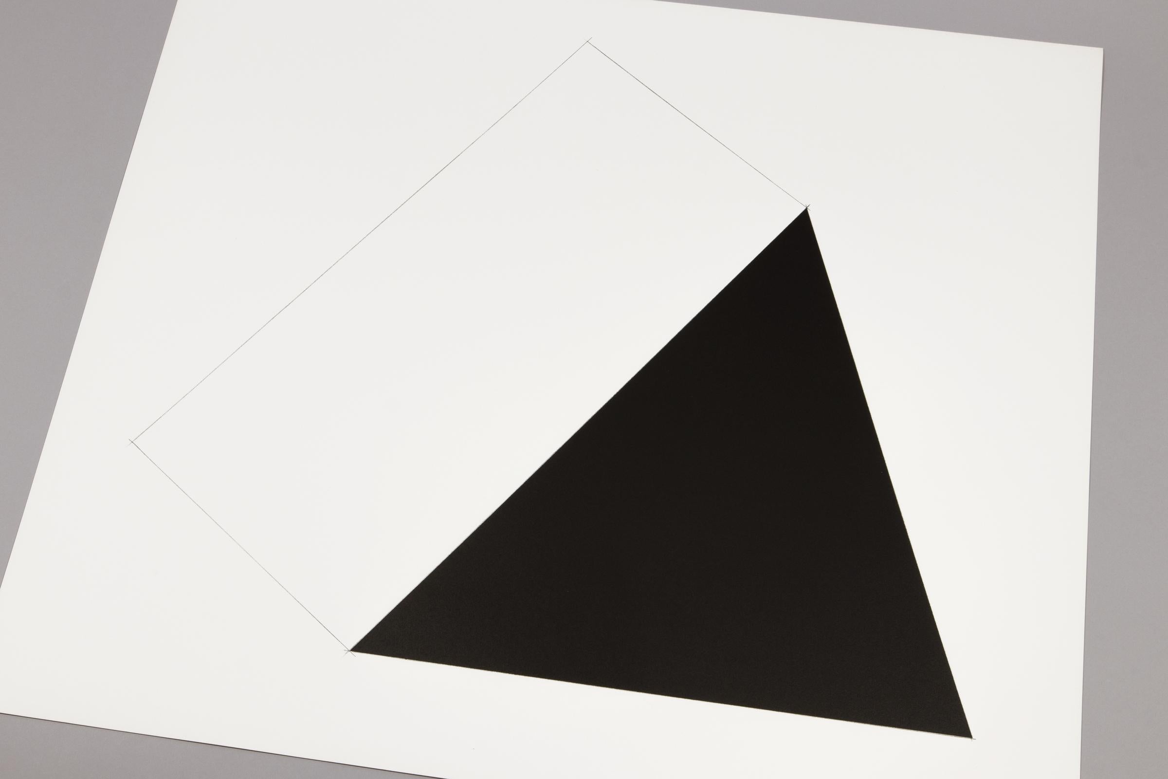 Ellsworth Kelly, Braunwald - Signed Lithograph, Minimalist Print For Sale 3