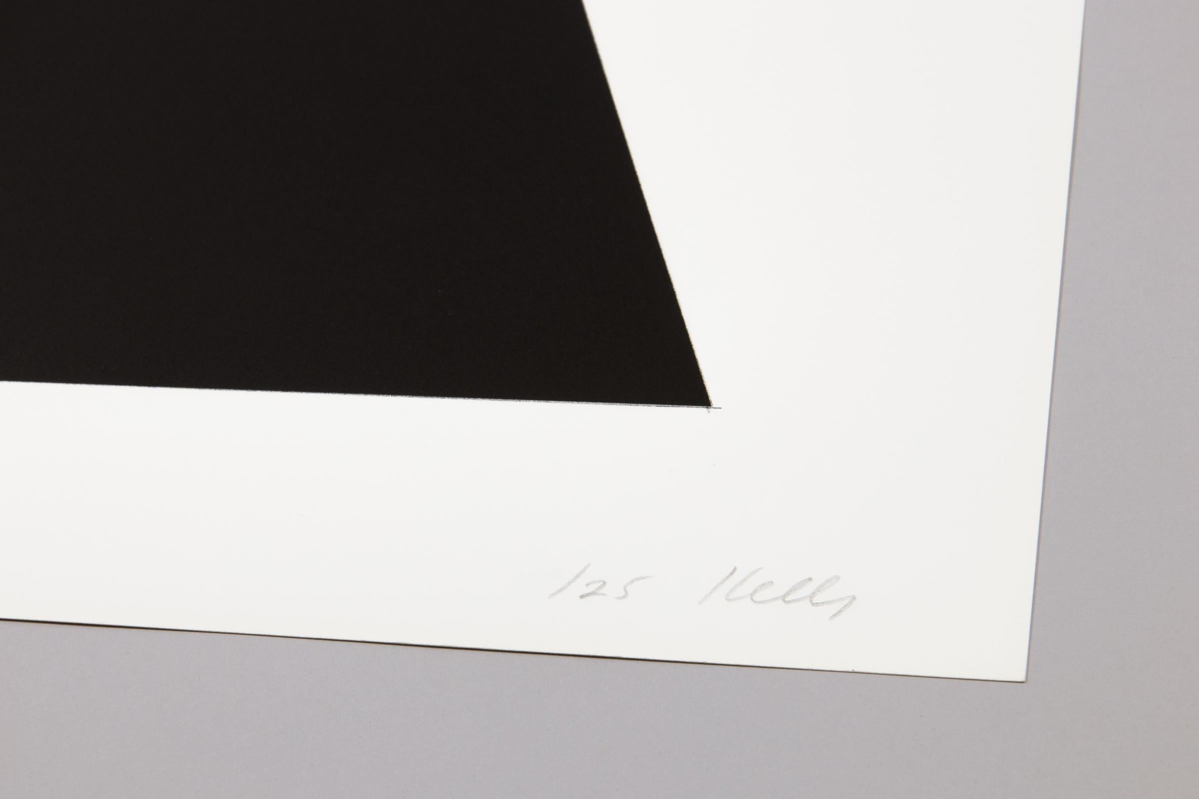 Ellsworth Kelly, Braunwald - Signed Lithograph, Minimalist Print For Sale 4