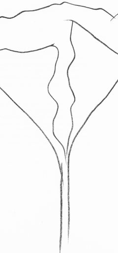 Ellsworth Kelly, Lotus, from Derriere le Miroir, 1982