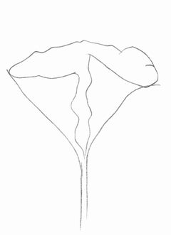 Ellsworth Kelly, Lotus, from Derriere le Miroir, 1982