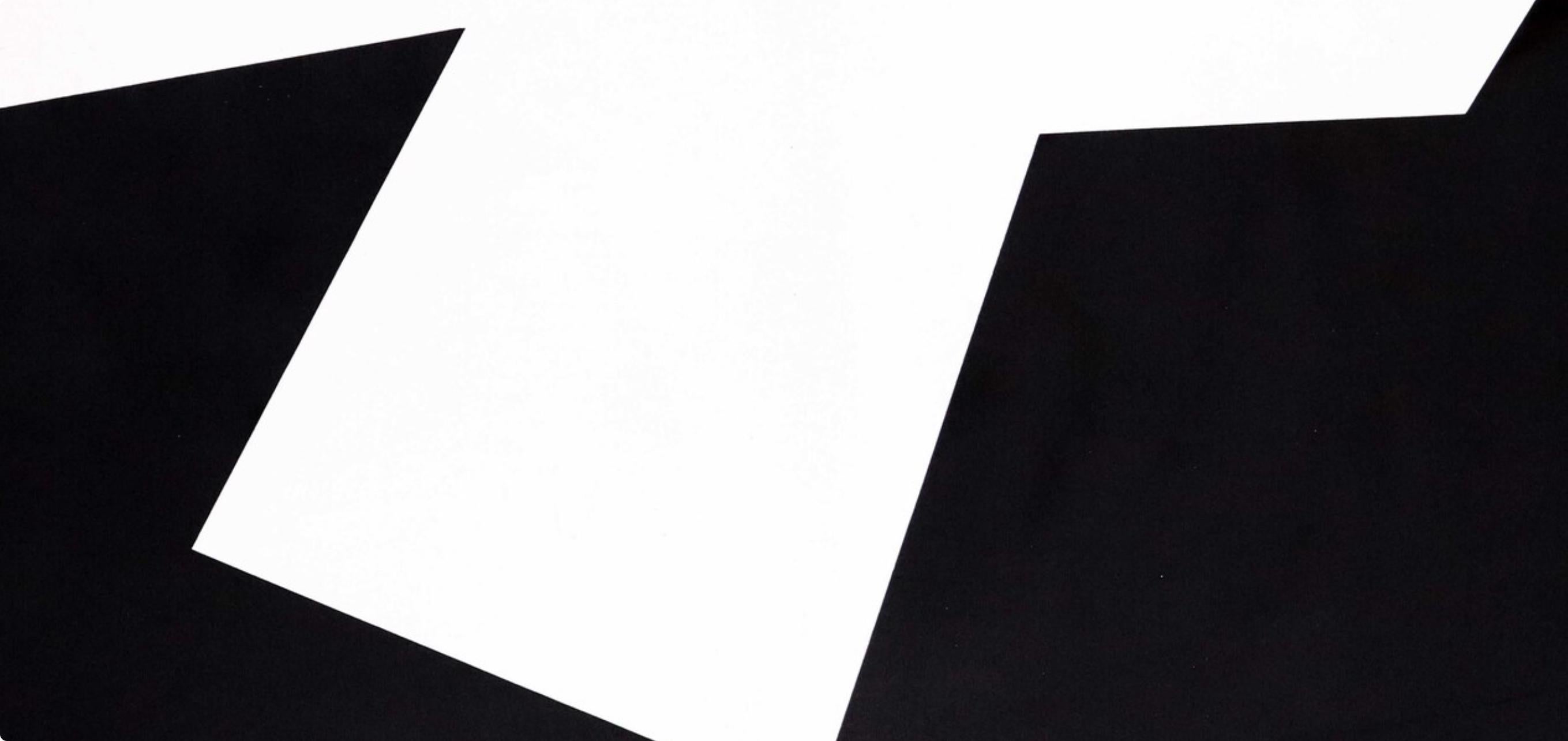 Kelly, Composition (Axsom I-a, page 176), Derrière le miroir (after) - Abstract Expressionist Print by Ellsworth Kelly