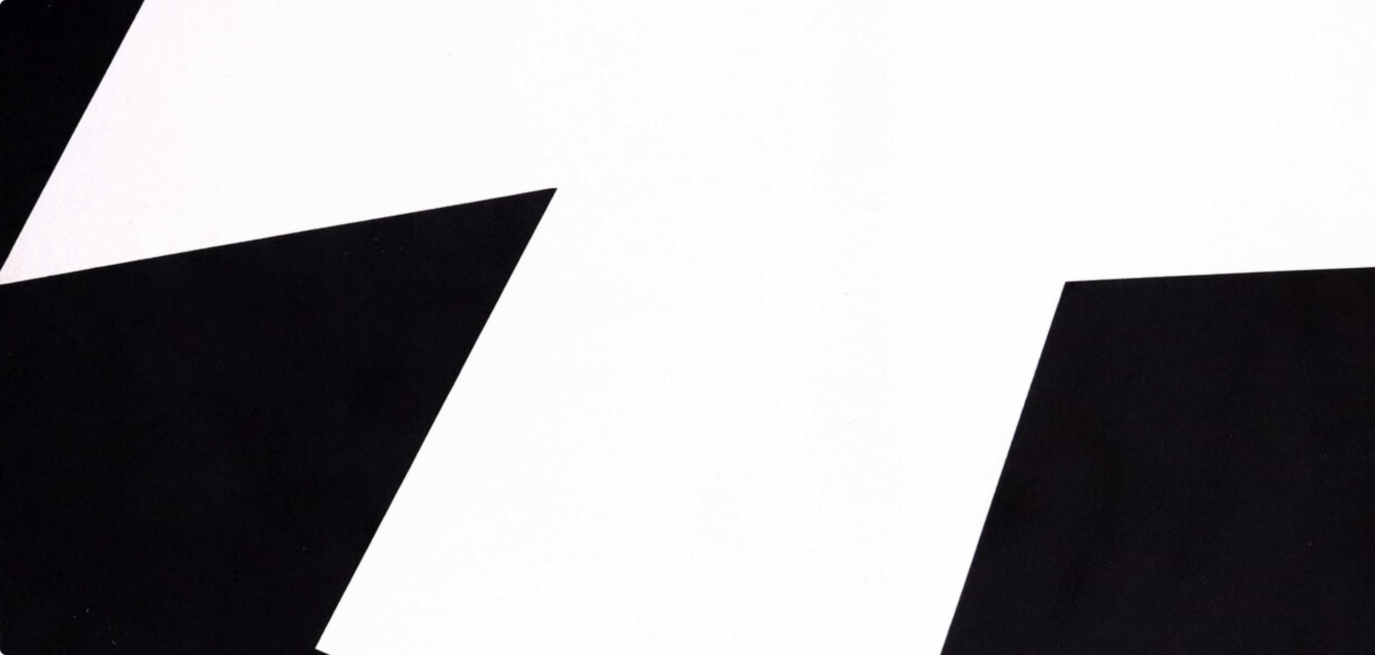 Kelly, Composition (Axsom I-a, page 176), Derrière le miroir (after) - Black Landscape Print by Ellsworth Kelly