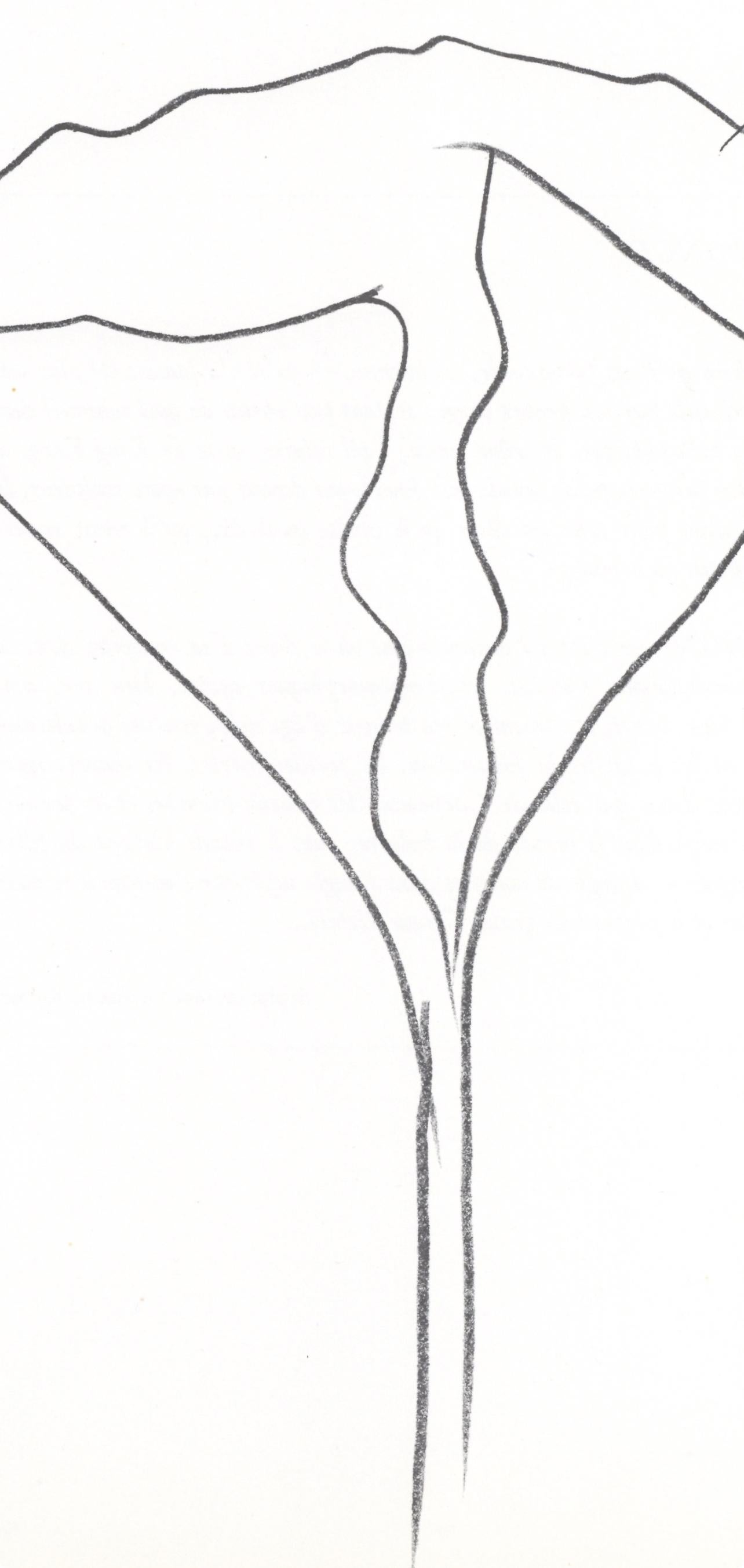 Kelly, Lotus (Axsom I-C), Derrière le miroir (after) - Print by Ellsworth Kelly