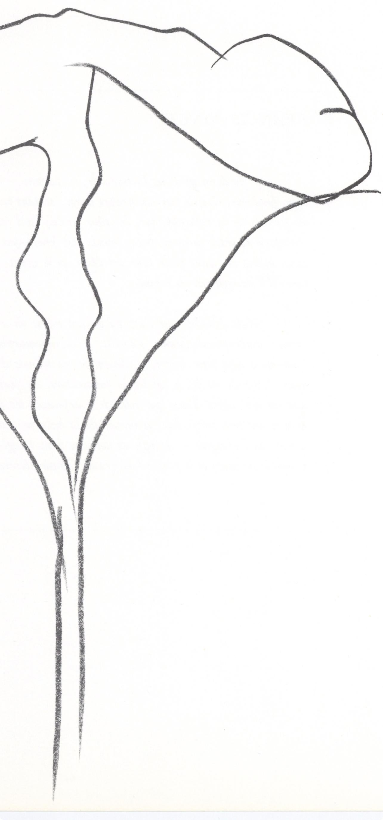 Kelly, Lotus (Axsom I-C), Derrière le miroir (after) - White Abstract Print by Ellsworth Kelly