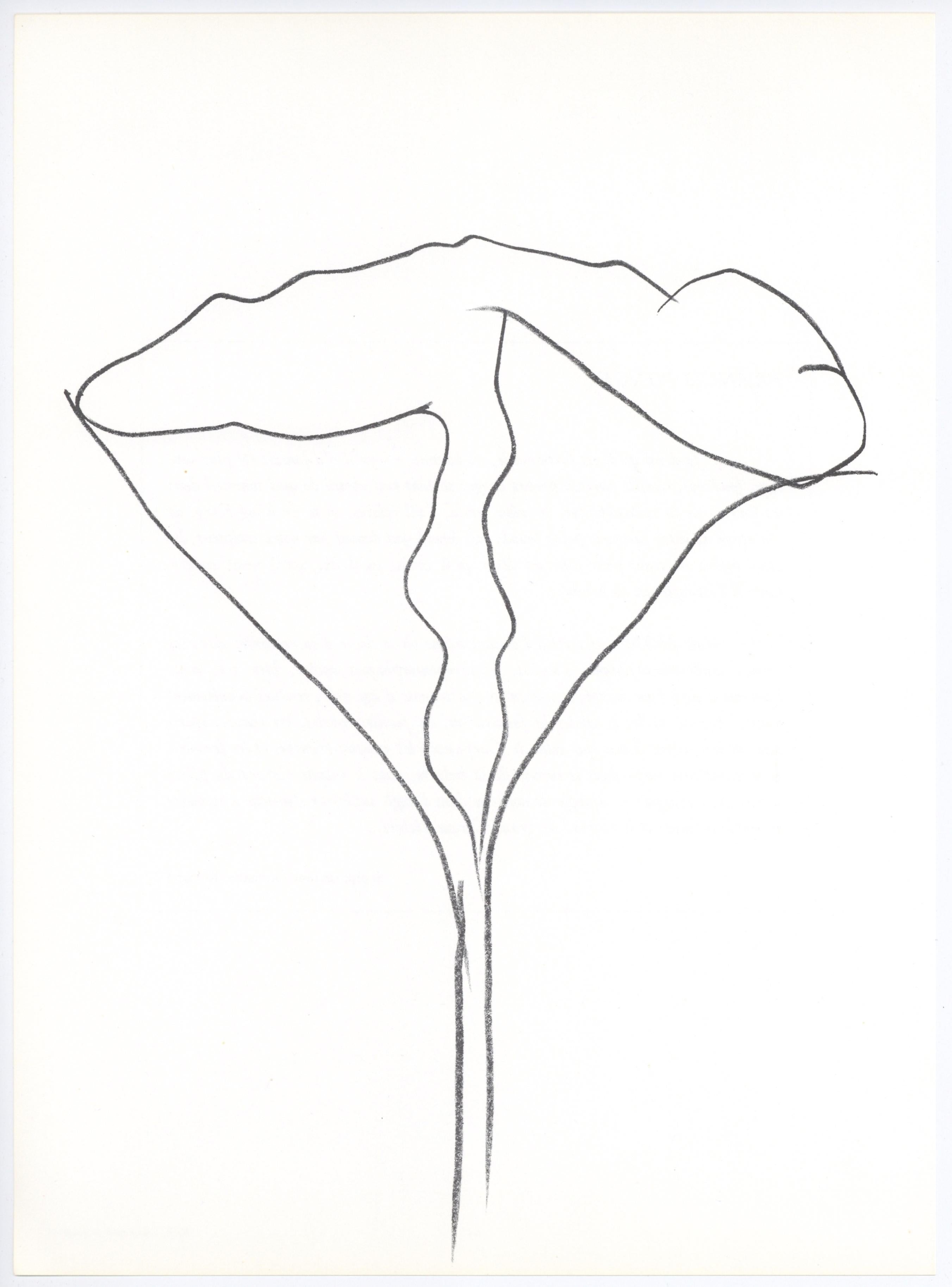 Lithograph on vélin paper. Inscription: Unsigned and unnumbered, as issued. Good condition, with centerfold, as issued. Notes: From Derrière le miroir, Hommage à Aimé et Marguerite Maeght, N° 250, 1982. Published by Aimé Maeght, Éditeur, Paris;