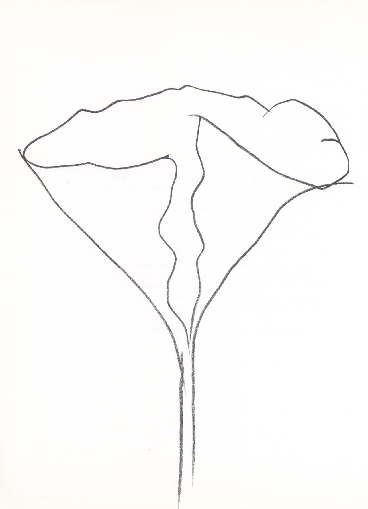 Ellsworth Kelly Abstract Print - Kelly, Lotus (Axsom I-C), Derrière le miroir (after)