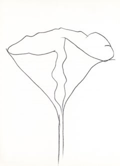 Kelly, Lotus (Axsom I-C), Derrière le miroir (después)