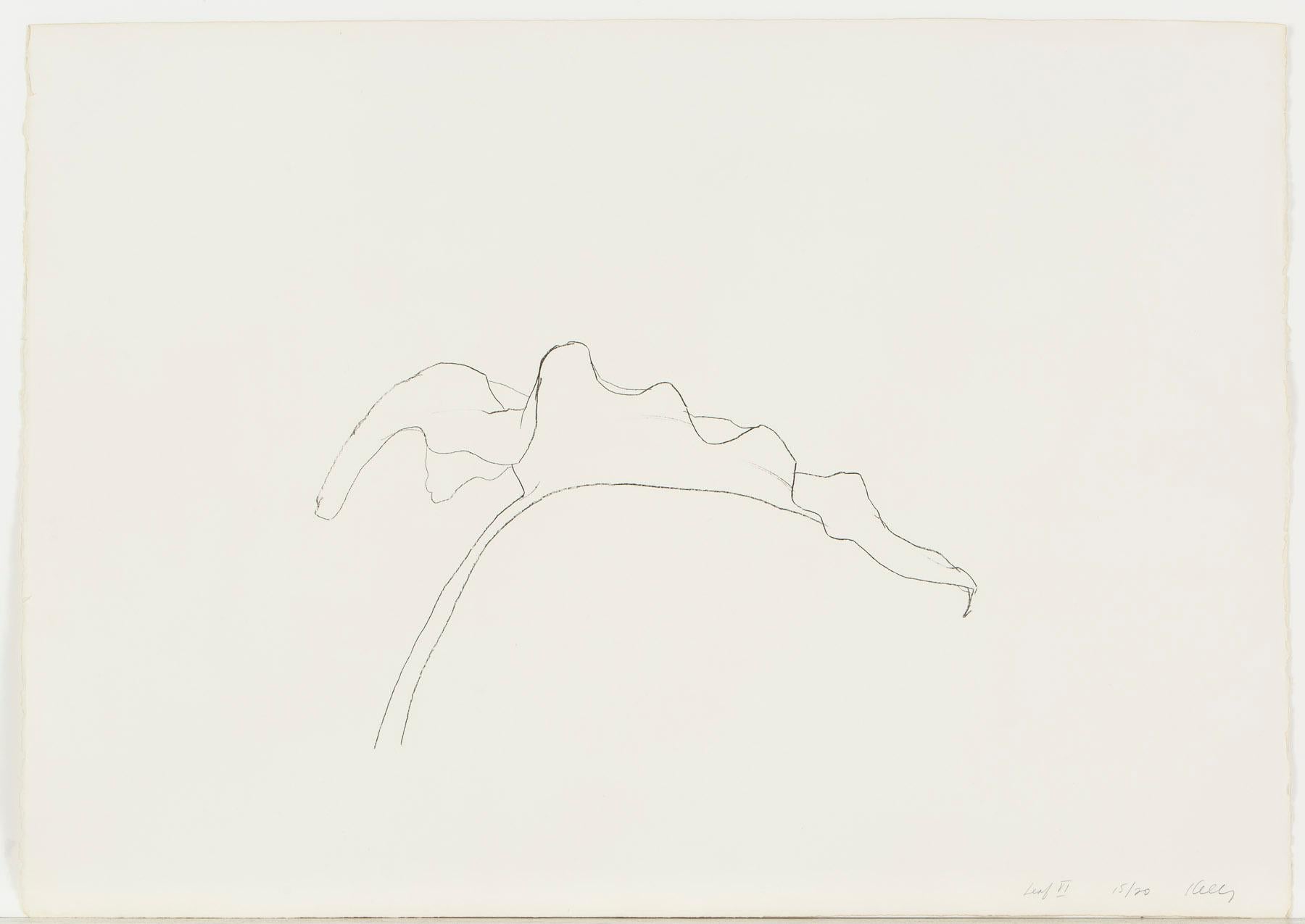 Ellsworth Kelly, 
Foglio VI, edizione 15/20
(1978)
Edizione limitata di 20 esemplari della serie Dodici Foglie
Pubblicato da GEMINI G.E.L.

