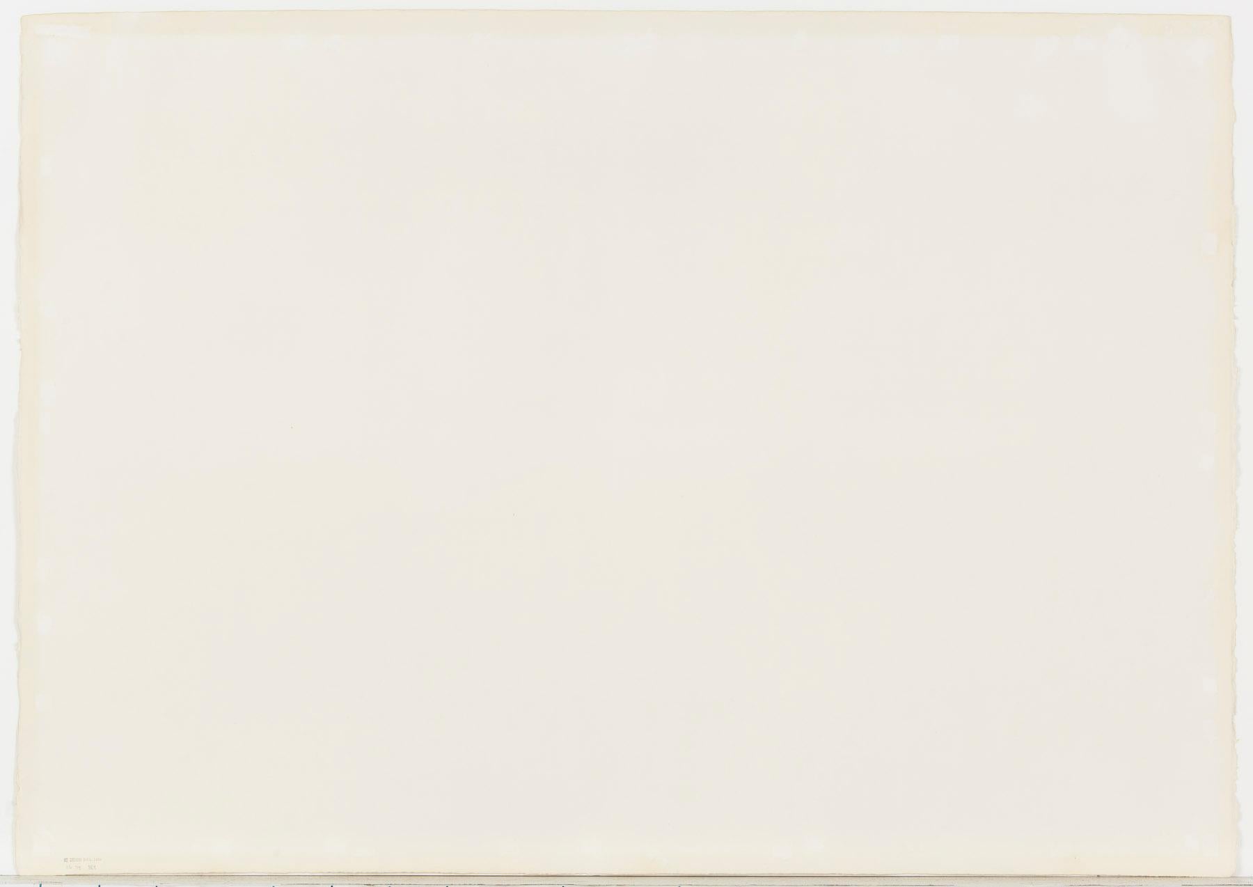 Leaf VI, di Ellsworth Kelly, Edizione limitata di 20 esemplari della serie Twelve Leaves in vendita 1