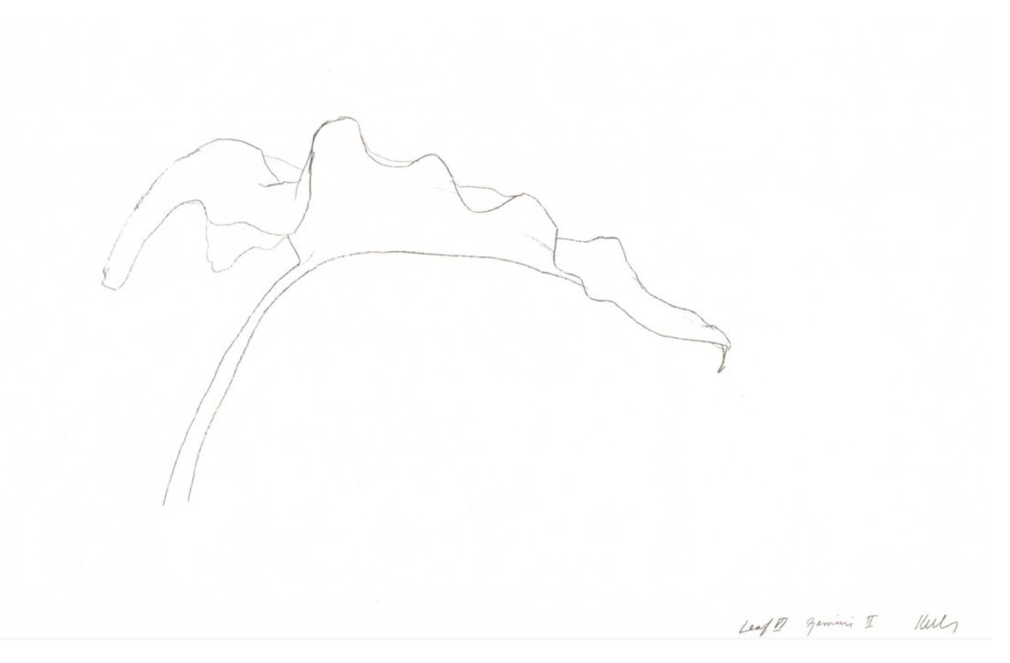 Where did Ellsworth Kelly work? Questions & Answers 1stDibs